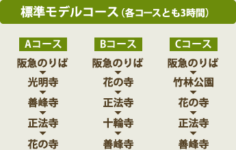 標準モデルコース(各コースとも3時間)