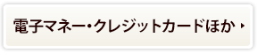 電子マネー・クレジットカードほか