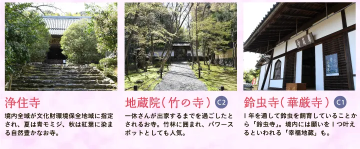 【浄住寺】境内全域が文化財環境保全地域に指定され、夏は青モミジ、秋は紅葉に染まる自然豊かなお寺。 【地蔵院（竹の寺）】一休さんが出家するまでを過ごしたとされるお寺。竹林に囲まれ、パワースポットとしても人気。 【鈴虫寺（華厳寺）】1年を通して鈴虫を飼育していることから「鈴虫寺」。境内には願いを1つ叶えるといわれる「幸福地蔵」も。