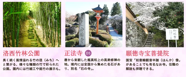 【洛西竹林公園】長く続く風情溢れる竹の径（みち）へと繋がる、様々な種類の竹で彩られた公園。園内には竹細工や銘竹の展示も。 【正法寺】唐から来朝した鑑真和上の高弟修禅の地。境内には全国から集めた名石があり、別名「石の寺」。 【願徳寺宝菩提院】国宝「如意輪観音半跏（はんか）像」があることでも有名なお寺。住職の解説も拝聴できる。