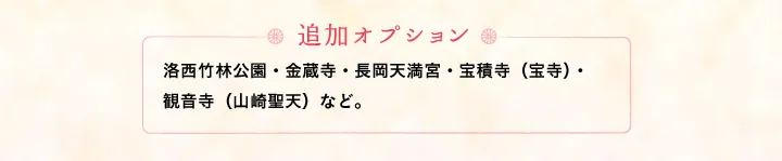 【追加オプション】洛西竹林公園・金蔵寺・長岡天満宮・宝積寺（宝寺）・観音寺（山崎聖天）など。