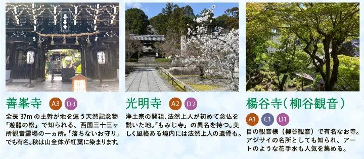 【善峯寺】全長37mの主幹が地を這う天然記念物「遊龍の松」で知られる、西国三十三ヶ所観音霊場の一ヵ所。「落ちないお守り」でも有名。秋は山全体が紅葉に染まります。 【光明寺】浄土宗の開祖、法然上人が初めて念仏を説いた地。「もみじ寺」の異名を持つ。美しく風格ある境内には法然上人の遺骨も。 【楊谷寺（柳谷観音）】目の観音様（柳谷観音）で有名なお寺。アジサイの名所としても知られ、アートのような花手水も人気を集める。