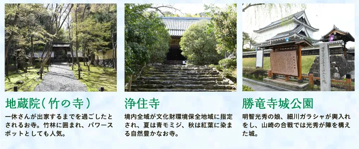 【地蔵院（竹の寺）】一休さんが出家するまでを過ごしたとされるお寺。竹林に囲まれ、パワースポットとしても人気。  【浄住寺】境内全域が文化財環境保全地域に指定され、夏は青モミジ、秋は紅葉に染まる自然豊かなお寺。  【勝竜寺城公園】明智光秀の娘、細川ガラシャが輿入れをし、山崎の合戦では光秀が陣を構えた城。