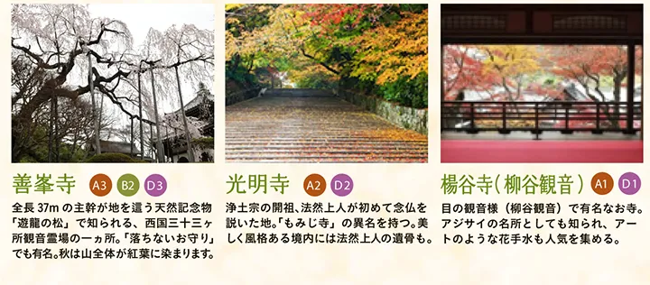 【善峯寺】全長37mの主幹が地を這う天然記念物「遊龍の松」で知られる、西国三十三ヶ所観音霊場の一ヵ所。「落ちないお守り」でも有名。秋は山全体が紅葉に染まります。 【光明寺】浄土宗の開祖、法然上人が初めて念仏を説いた地。「もみじ寺」の異名を持つ。美しく風格ある境内には法然上人の遺骨も。 【楊谷寺（柳谷観音）】目の観音様（柳谷観音）で有名なお寺。アジサイの名所としても知られ、アートのような花手水も人気を集める。