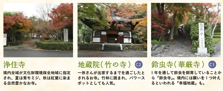 【浄住寺】境内全域が文化財環境保全地域に指定され、夏は青モミジ、秋は紅葉に染まる自然豊かなお寺。 【地蔵院（竹の寺）】一休さんが出家するまでを過ごしたとされるお寺。竹林に囲まれ、パワースポットとしても人気。 【鈴虫寺（華厳寺）】1年を通して鈴虫を飼育していることから「鈴虫寺」。境内には願いを1つ叶えるといわれる「幸福地蔵」も。