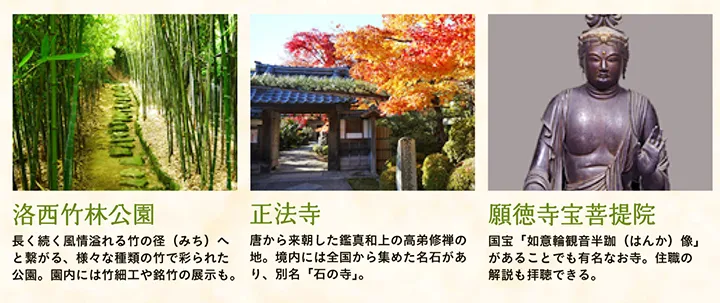 【洛西竹林公園】長く続く風情溢れる竹の径（みち）へと繋がる、様々な種類の竹で彩られた公園。園内には竹細工や銘竹の展示も。 【正法寺】唐から来朝した鑑真和上の高弟修禅の地。境内には全国から集めた名石があり、別名「石の寺」。 【願徳寺宝菩提院】国宝「如意輪観音半跏（はんか）像」があることでも有名なお寺。住職の解説も拝聴できる。