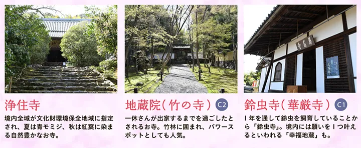 【浄住寺】境内全域が文化財環境保全地域に指定され、夏は青モミジ、秋は紅葉に染まる自然豊かなお寺。 【地蔵院（竹の寺）】一休さんが出家するまでを過ごしたとされるお寺。竹林に囲まれ、パワースポットとしても人気。 【鈴虫寺（華厳寺）】1年を通して鈴虫を飼育していることから「鈴虫寺」。境内には願いを1つ叶えるといわれる「幸福地蔵」も。
