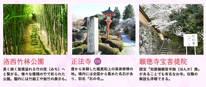 【洛西竹林公園】長く続く風情溢れる竹の径（みち）へと繋がる、様々な種類の竹で彩られた公園。園内には竹細工や銘竹の展示も。 【正法寺】唐から来朝した鑑真和上の高弟修禅の地。境内には全国から集めた名石があり、別名「石の寺」。 【願徳寺宝菩提院】国宝「如意輪観音半跏（はんか）像」があることでも有名なお寺。住職の解説も拝聴できる。