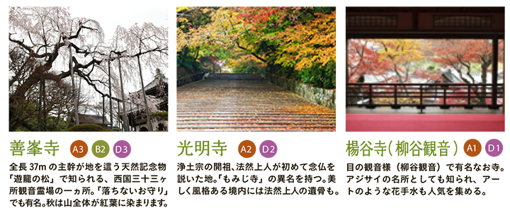 【善峯寺】全長37mの主幹が地を這う天然記念物「遊龍の松」で知られる、西国三十三ヶ所観音霊場の一ヵ所。「落ちないお守り」でも有名。秋は山全体が紅葉に染まります。 【光明寺】浄土宗の開祖、法然上人が初めて念仏を説いた地。「もみじ寺」の異名を持つ。美しく風格ある境内には法然上人の遺骨も。 【楊谷寺（柳谷観音）】目の観音様（柳谷観音）で有名なお寺。アジサイの名所としても知られ、アートのような花手水も人気を集める。
