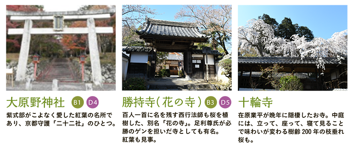【大原野神社】紫式部がこよなく愛した紅葉の名所であり、京都守護「二十二社」のひとつ。 【勝持寺（花の寺）】百人一首に名を残す西行法師も桜を植樹した、別名「花の寺」。足利尊氏が必勝のゲンを担いだ寺としても有名。紅葉も見事。 【十輪寺】在原業平が晩年に隠棲したお寺。中庭には、立って、座って、寝て見ることで味わいが変わる樹齢200年の枝垂れ桜も。