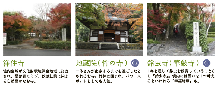 【浄住寺】境内全域が文化財環境保全地域に指定され、夏は青モミジ、秋は紅葉に染まる自然豊かなお寺。 【地蔵院（竹の寺）】一休さんが出家するまでを過ごしたとされるお寺。竹林に囲まれ、パワースポットとしても人気。 【鈴虫寺（華厳寺）】1年を通して鈴虫を飼育していることから「鈴虫寺」。境内には願いを1つ叶えるといわれる「幸福地蔵」も。