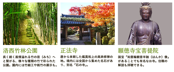 【洛西竹林公園】長く続く風情溢れる竹の径（みち）へと繋がる、様々な種類の竹で彩られた公園。園内には竹細工や銘竹の展示も。 【正法寺】唐から来朝した鑑真和上の高弟修禅の地。境内には全国から集めた名石があり、別名「石の寺」。 【願徳寺宝菩提院】国宝「如意輪観音半跏（はんか）像」があることでも有名なお寺。住職の解説も拝聴できる。