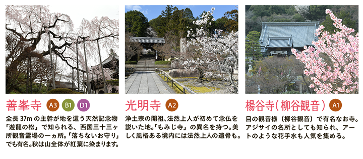 【善峯寺】全長37mの主幹が地を這う天然記念物「遊龍の松」で知られる、西国三十三ヶ所観音霊場の一ヵ所。「落ちないお守り」でも有名。秋は山全体が紅葉に染まります。 【光明寺】浄土宗の開祖、法然上人が初めて念仏を説いた地。「もみじ寺」の異名を持つ。美しく風格ある境内には法然上人の遺骨も。 【楊谷寺（柳谷観音）】目の観音様（柳谷観音）で有名なお寺。アジサイの名所としても知られ、アートのような花手水も人気を集める。