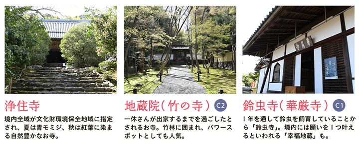 【浄住寺】境内全域が文化財環境保全地域に指定され、夏は青モミジ、秋は紅葉に染まる自然豊かなお寺。 【地蔵院（竹の寺）】一休さんが出家するまでを過ごしたとされるお寺。竹林に囲まれ、パワースポットとしても人気。 【鈴虫寺（華厳寺）】1年を通して鈴虫を飼育していることから「鈴虫寺」。境内には願いを1つ叶えるといわれる「幸福地蔵」も。