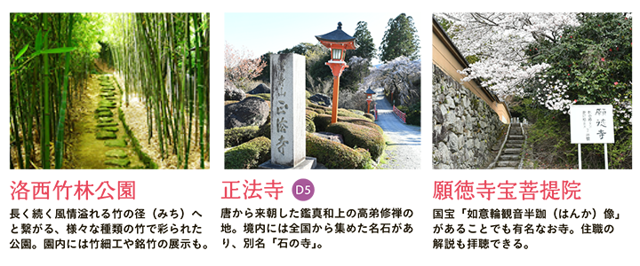 【洛西竹林公園】長く続く風情溢れる竹の径（みち）へと繋がる、様々な種類の竹で彩られた公園。園内には竹細工や銘竹の展示も。 【正法寺】唐から来朝した鑑真和上の高弟修禅の地。境内には全国から集めた名石があり、別名「石の寺」。 【願徳寺宝菩提院】国宝「如意輪観音半跏（はんか）像」があることでも有名なお寺。住職の解説も拝聴できる。