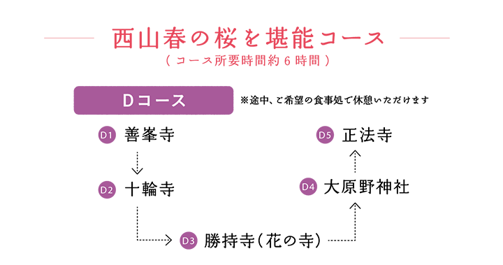 西山春の桜を満喫コース(コース所要時間約6時間)【Dコース ※途中、ご希望の食事処で休憩いただけます】善峯寺 → 十輪寺 → 勝持寺（花の寺） → 大原野神社 → 正法寺