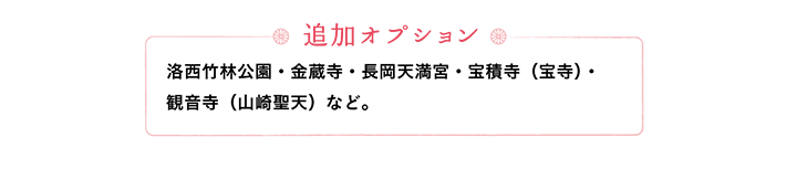 【追加オプション】洛西竹林公園・金蔵寺・長岡天満宮・宝積寺（宝寺）・観音寺（山崎聖天）など。