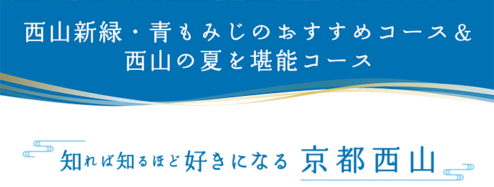 西山新緑・青もみじのおすすめコース&西山の夏を堪能コース 知れば知るほど好きになる京都西山