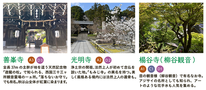 【善峯寺】全長37mの主幹が地を這う天然記念物「遊龍の松」で知られる、西国三十三ヶ所観音霊場の一ヵ所。「落ちないお守り」でも有名。秋は山全体が紅葉に染まります。 【光明寺】浄土宗の開祖、法然上人が初めて念仏を説いた地。「もみじ寺」の異名を持つ。美しく風格ある境内には法然上人の遺骨も。 【楊谷寺（柳谷観音）】目の観音様（柳谷観音）で有名なお寺。アジサイの名所としても知られ、アートのような花手水も人気を集める。