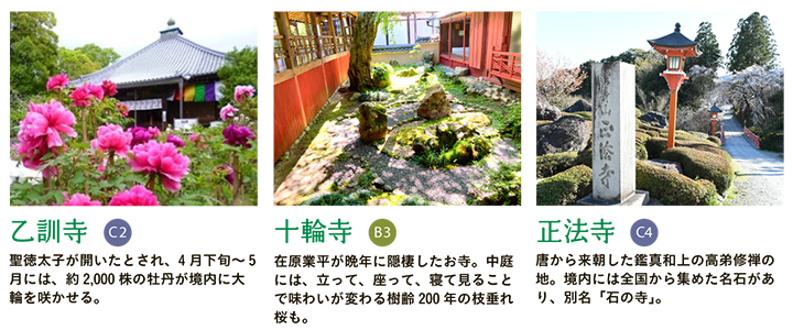 【乙訓寺】聖徳太子が開いたとされ、4月下旬～5月には、約2,000株の牡丹が境内に大輪を咲かせる。 【十輪寺】在原業平が晩年に隠棲したお寺。中庭には、立って、座って、寝て見ることで味わいが変わる樹齢200年の枝垂れ桜も。 【正法寺】唐から来朝した鑑真和上の高弟修禅の地。境内には全国から集めた名石があり、別名「石の寺」。