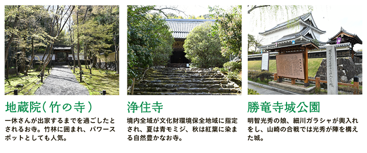 【地蔵院（竹の寺）】一休さんが出家するまでを過ごしたとされるお寺。竹林に囲まれ、パワースポットとしても人気。  【浄住寺】境内全域が文化財環境保全地域に指定され、夏は青モミジ、秋は紅葉に染まる自然豊かなお寺。  【勝竜寺城公園】明智光秀の娘、細川ガラシャが輿入れをし、山崎の合戦では光秀が陣を構えた城。