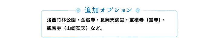 【追加オプション】洛西竹林公園・金蔵寺・長岡天満宮・宝積寺（宝寺）・観音寺（山崎聖天）など。