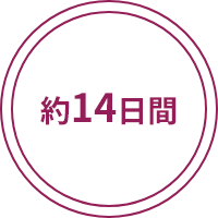 約14日間